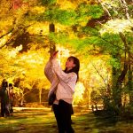 【奥津渓の紅葉に山女魚の塩焼き！】岡山県鏡野町、秋のオススメスポット3選