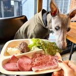 【ドッグメニューがすごい！】「焼肉ぽんがLA」で愛犬と焼肉ランチ